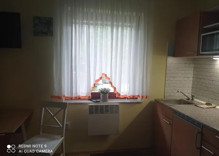 Διαμέρισμα Medja Bohinj